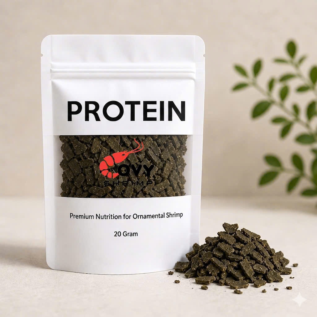 Protein - Thức ăn Đạm thực vật